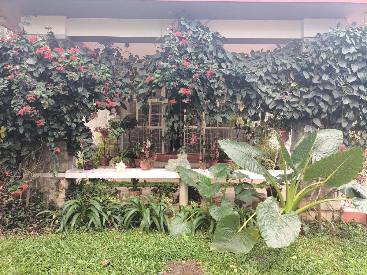 Coorg Kolamotte Hotel Gonikoppal Exterior photo